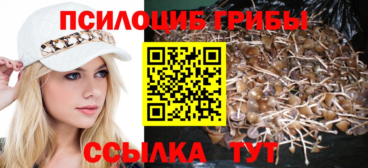 Галлюциногенные грибы ЛСД  Вход с VPN  Павловский Посад 