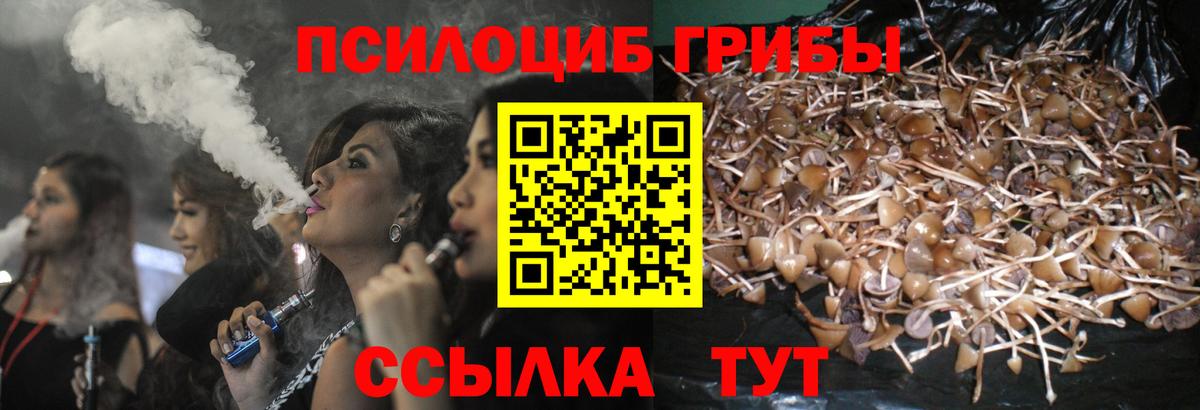 Галлюциногенные грибы мухоморы Павловский Посад